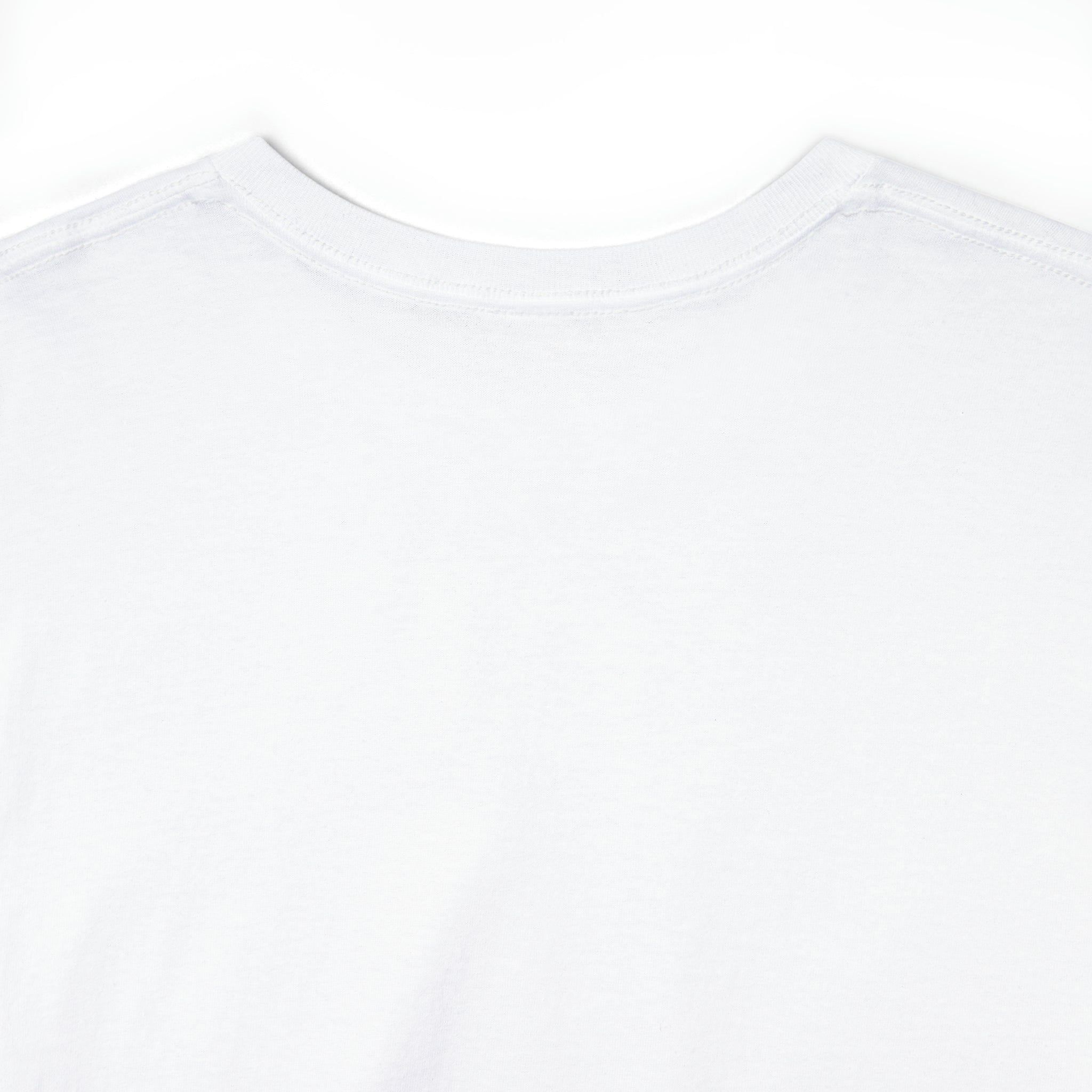 FEDSURRECTION   HEAVY COTTON TEE